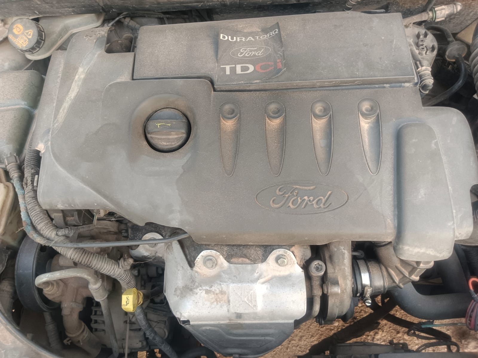 Ford Duratorq TDCi diesel engine bay view